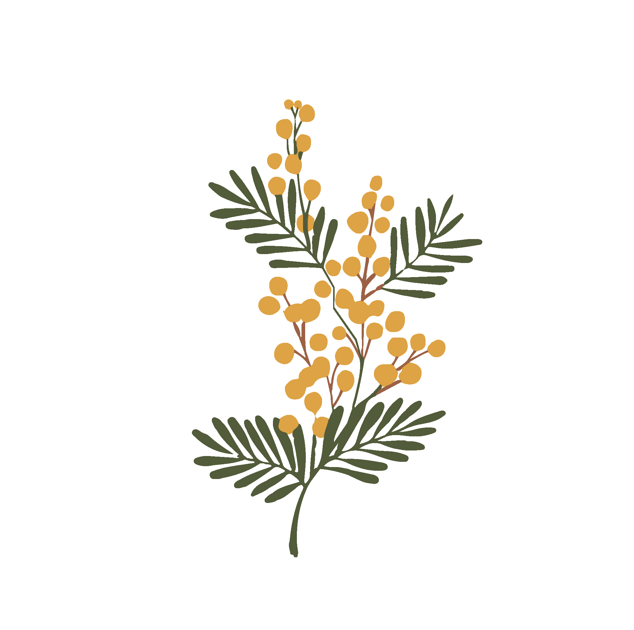 El Rincón del Aromo